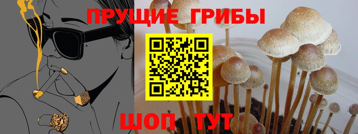 Галлюциногенные грибы мухоморы Муром